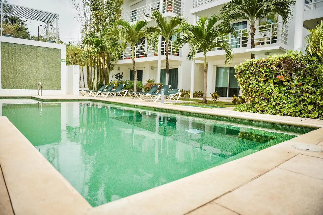 فندق مبيت وإفطار بلايا ديل كارمن B&B Pelicanos المكسيك