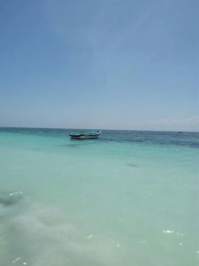 B&B Pelicanos Playa del Carmen Panzió