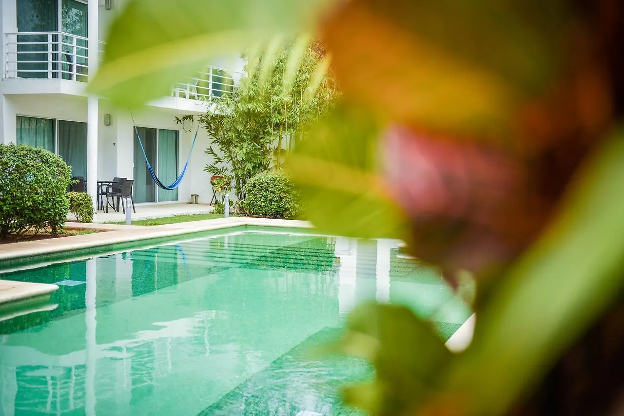B&B Pelicanos Playa del Carmen Panzió